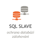 SQL Slave