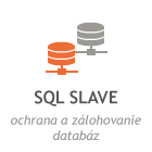 SQL Slave